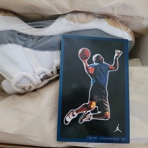 2001 Air Jordan 11 Lows *Navy Blue* SnakeSkin